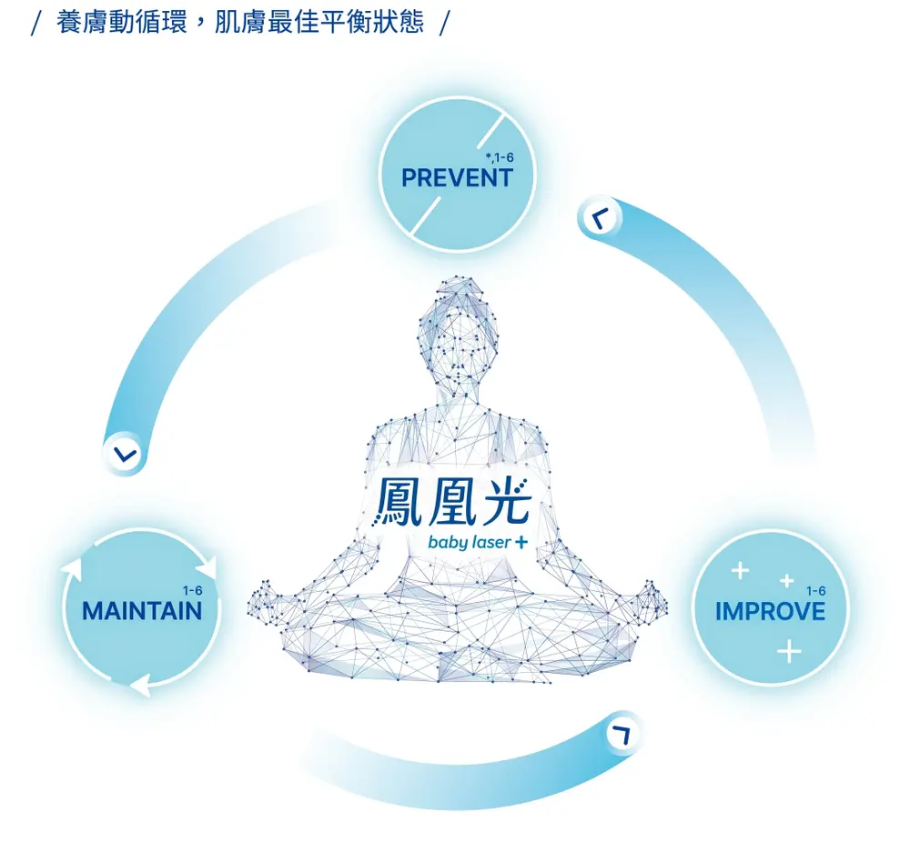 鳳凰光動態養膚 PREVENT IMPROVE MAINTAIN 循環示意